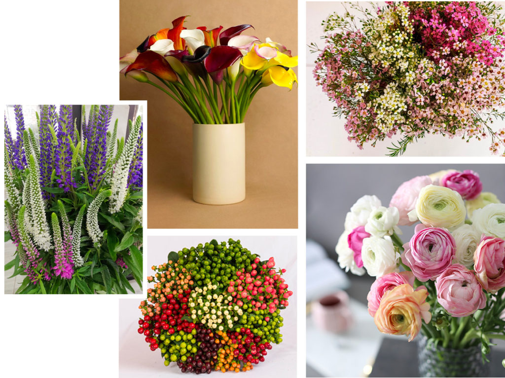 Who We Are Choice Farms LLC