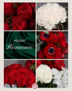 Holiday Romance Photo Grid