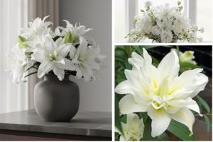 Collage of white rose lilies